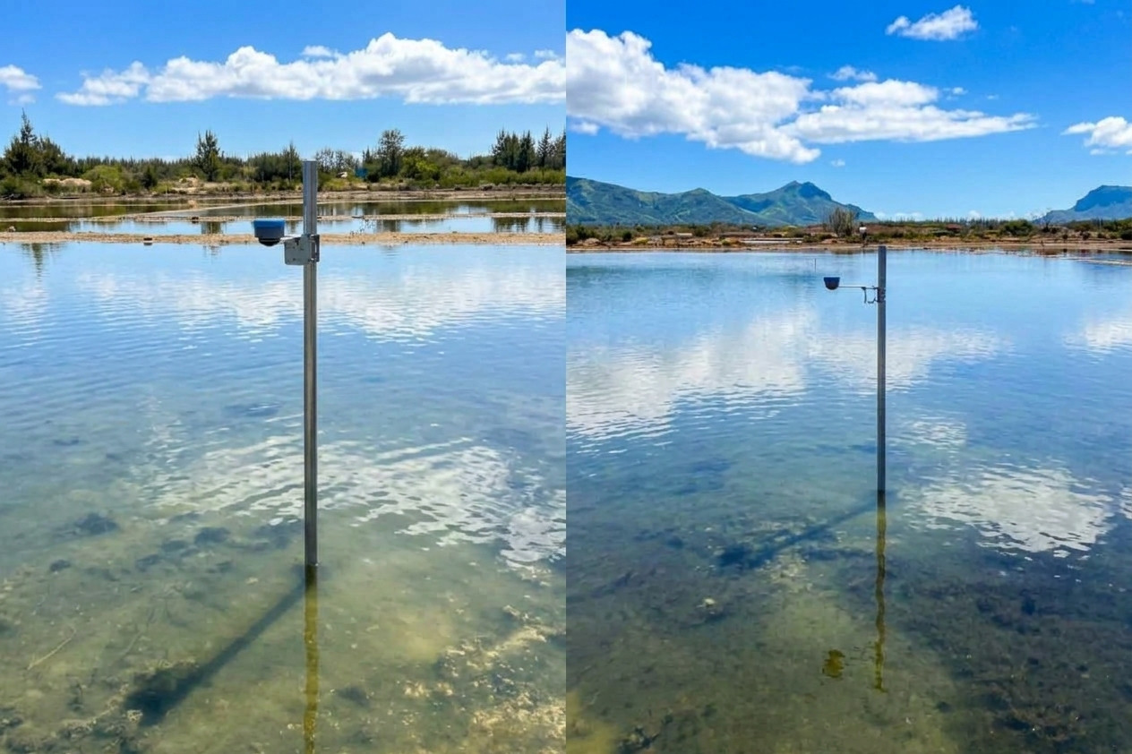 Wetland Level Monitoring - photo 2